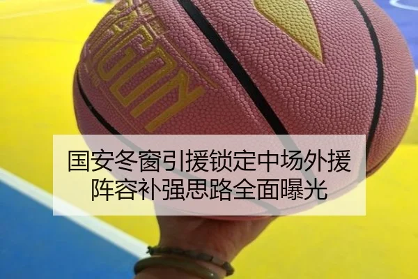 国安冬窗引援锁定中场外援 阵容补强思路全面曝光